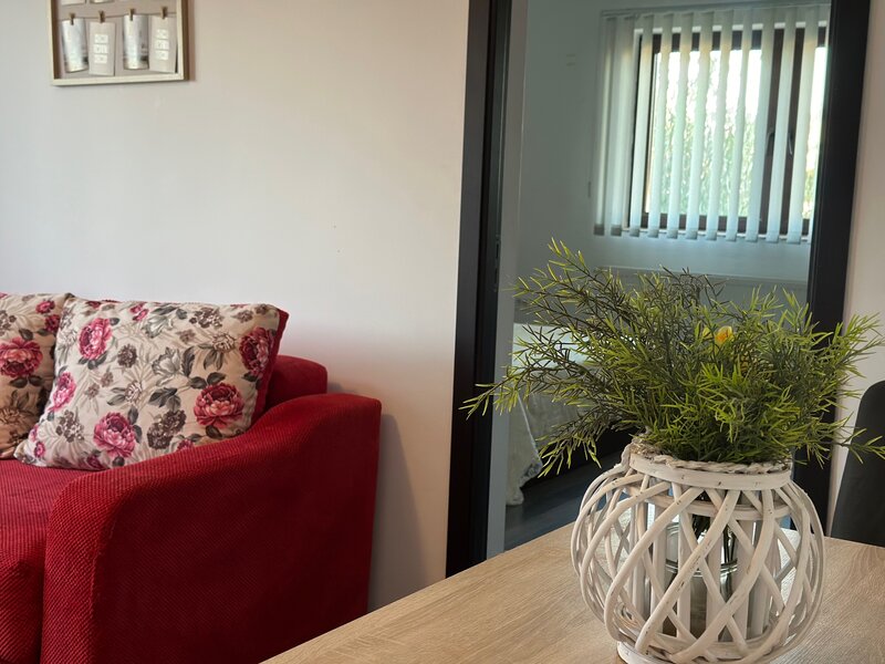 Magurele Ilfov apartamente regim hotelier